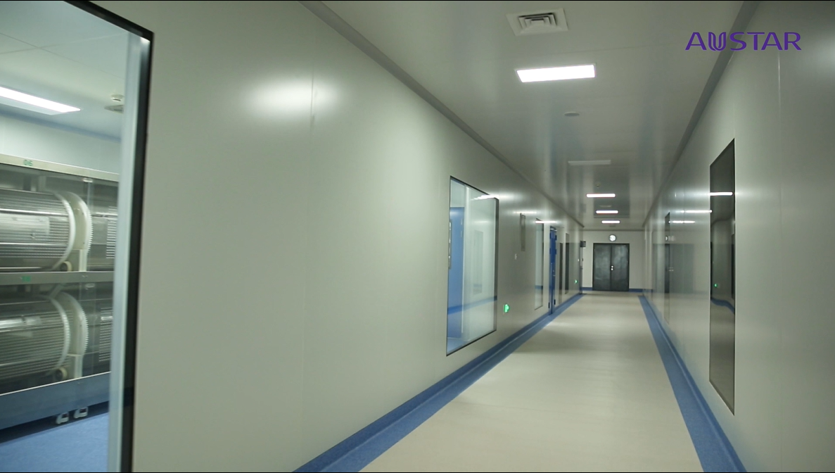 Soft Capsule Workshop Cleanroom Project