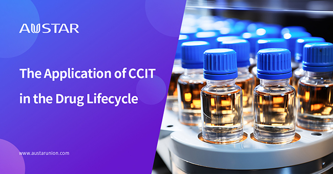 The Application of CCIT in The Drug Lifecycle(1)(1).jpg